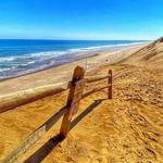 Wellfleet beach/ The Beachcomber