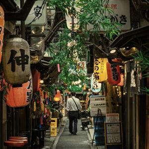 Japan Honeymoon Fund