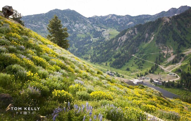 The Wedding Website of Kimiya Nourian and Hunter Frederiksen