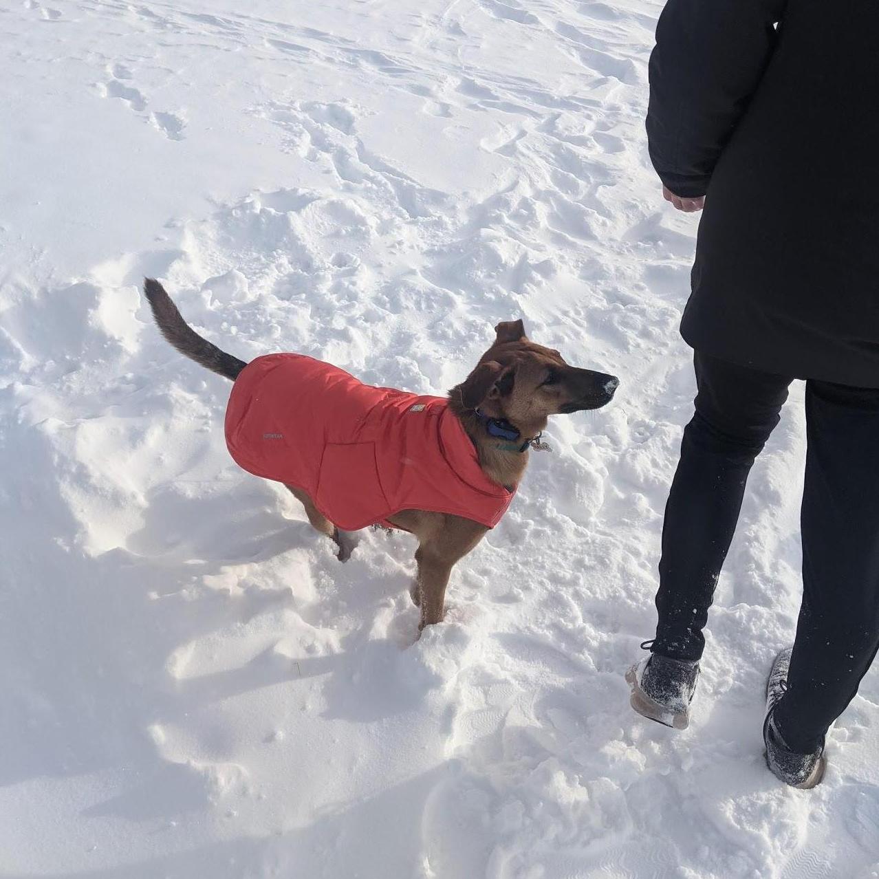 Hailey LOVED Winter Park. We got her a snow jacket that matches Cort's ski jacket :)
