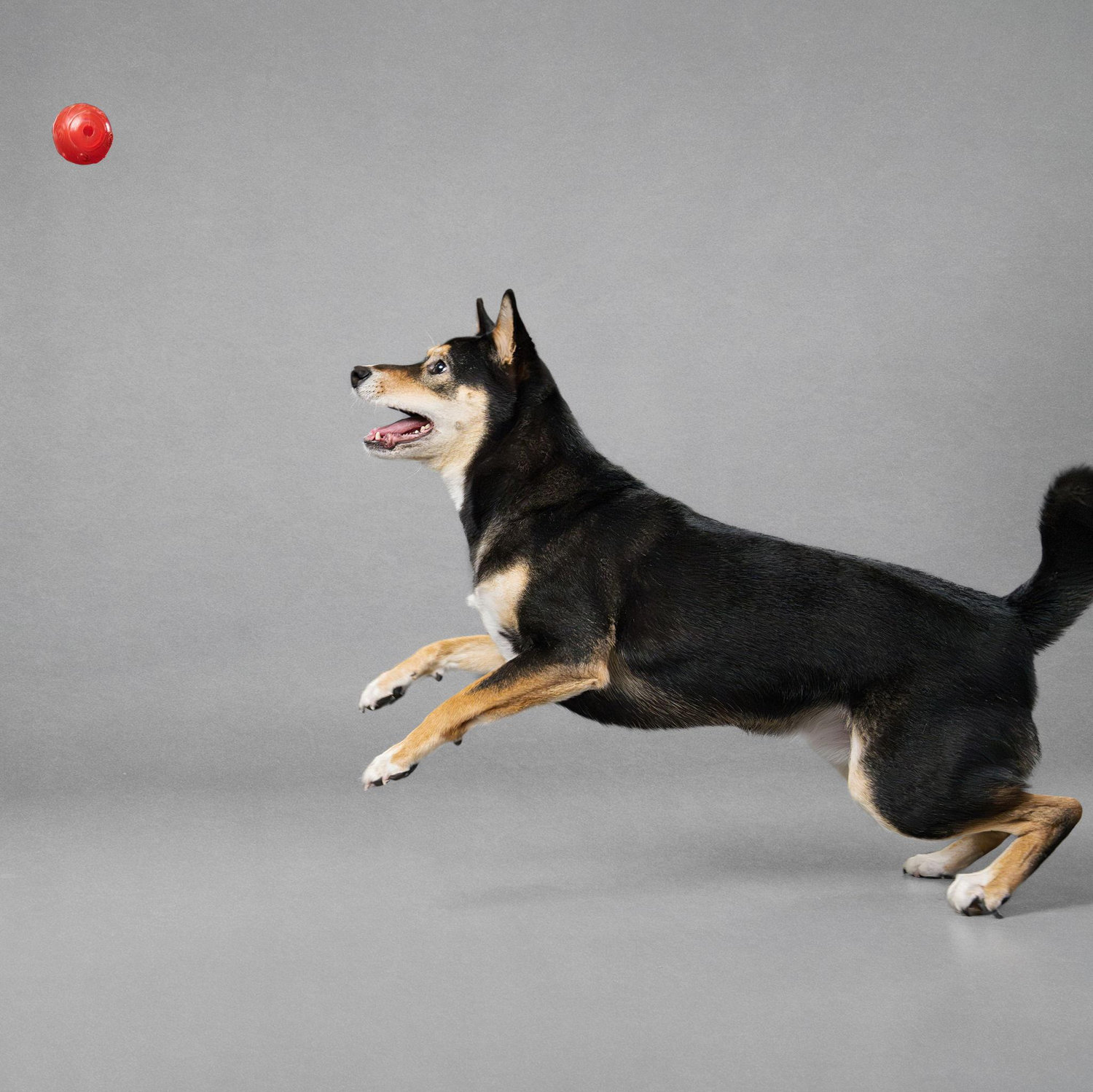 Ball is life