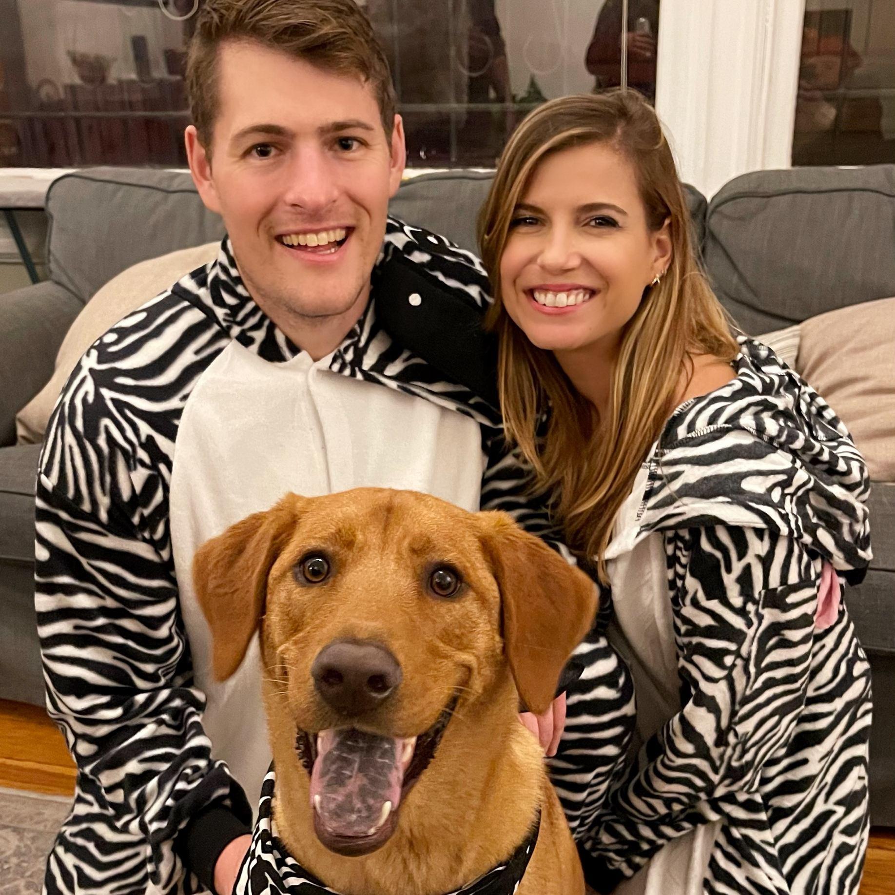 The missing Maryland zebras have been found (Halloween 2021)