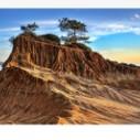 Torrey Pines State Reserve