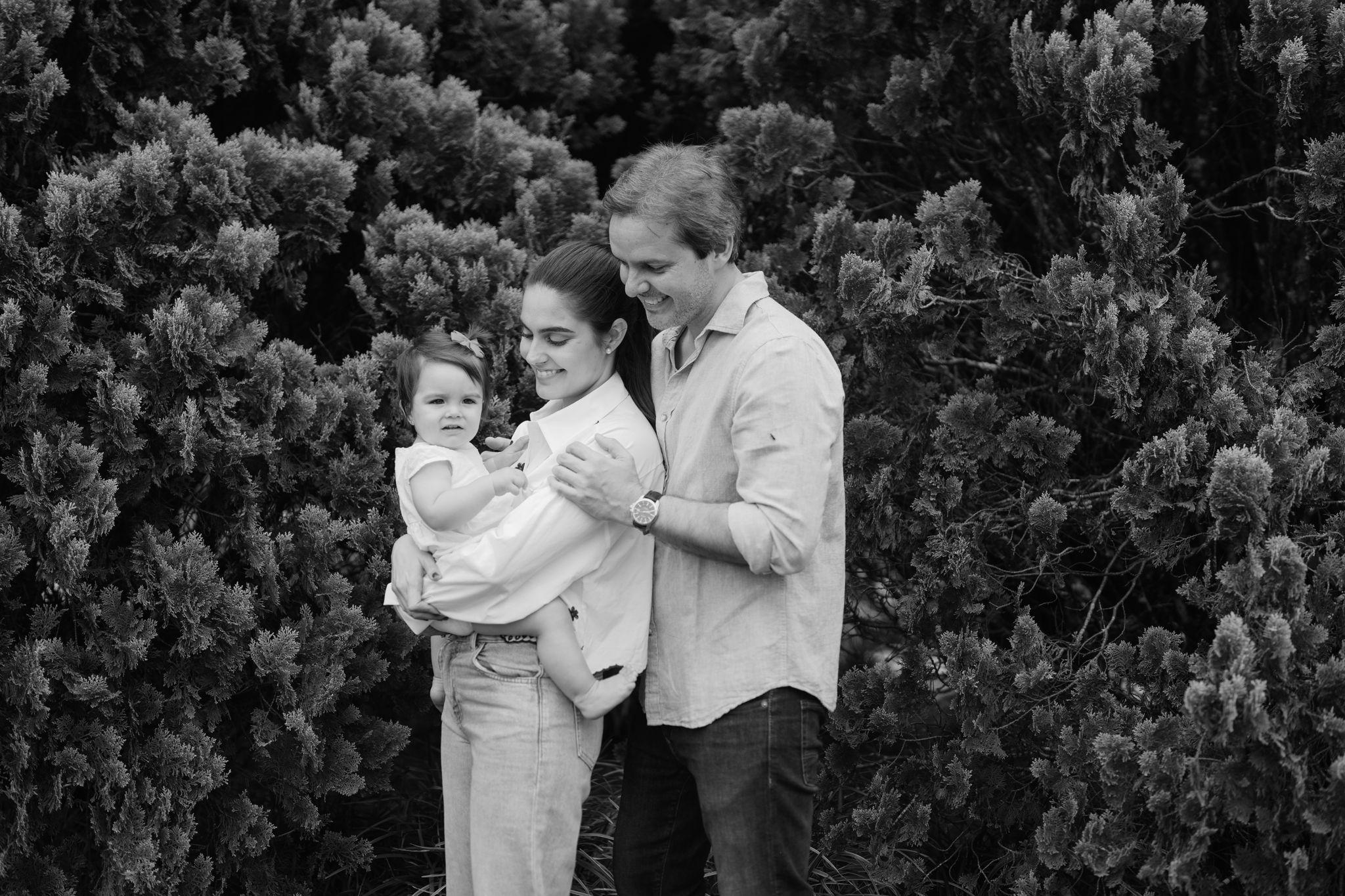 ce0fa341-6432-4aea-9859-0c342f61537f