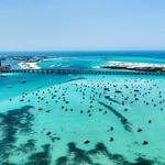 Crab Island