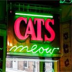The World Famous Cats Meow