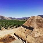 Paralelo Vineyard
