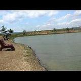 Zetts Tri-State Fish Farm & Hatchery