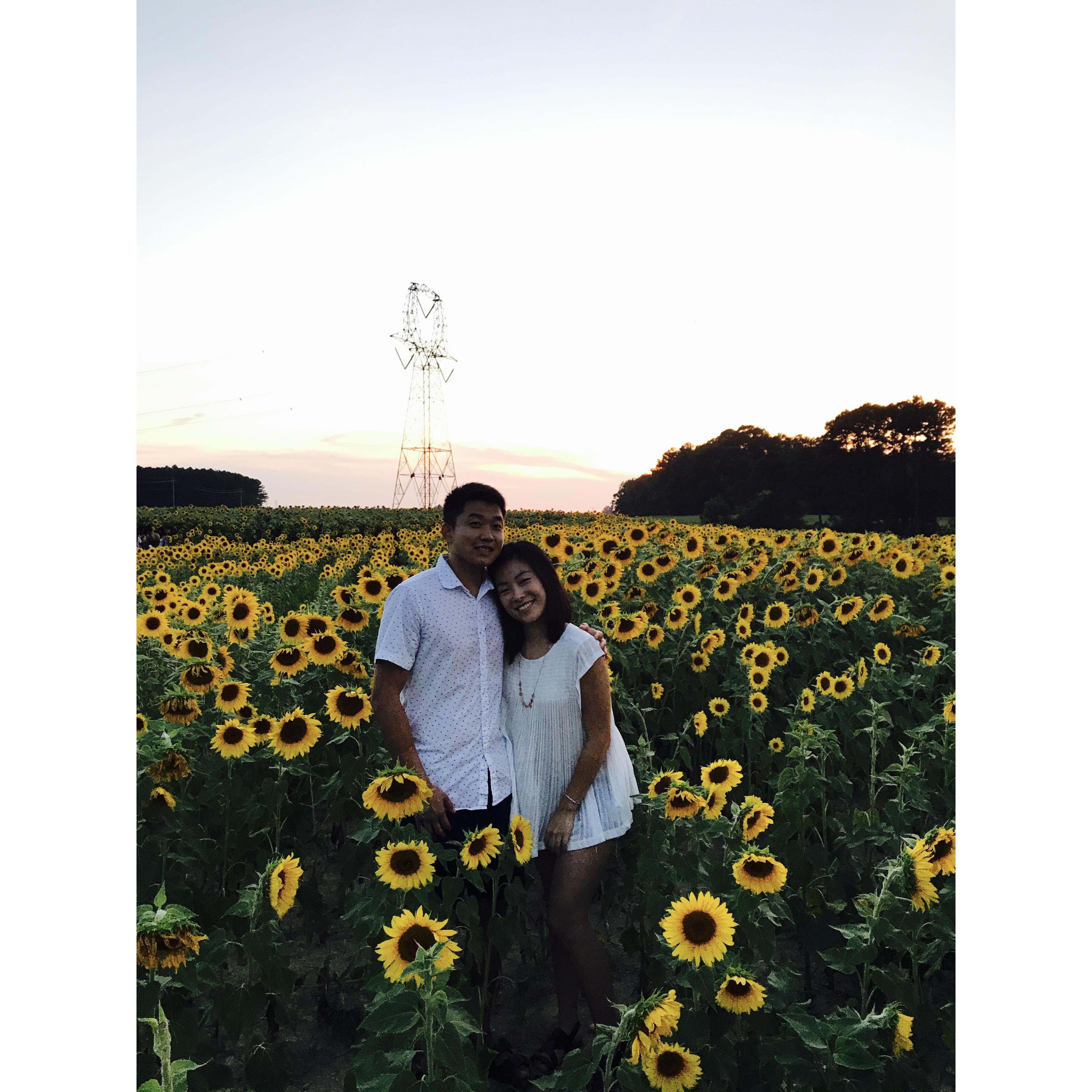 Our first date at a sunflower field
