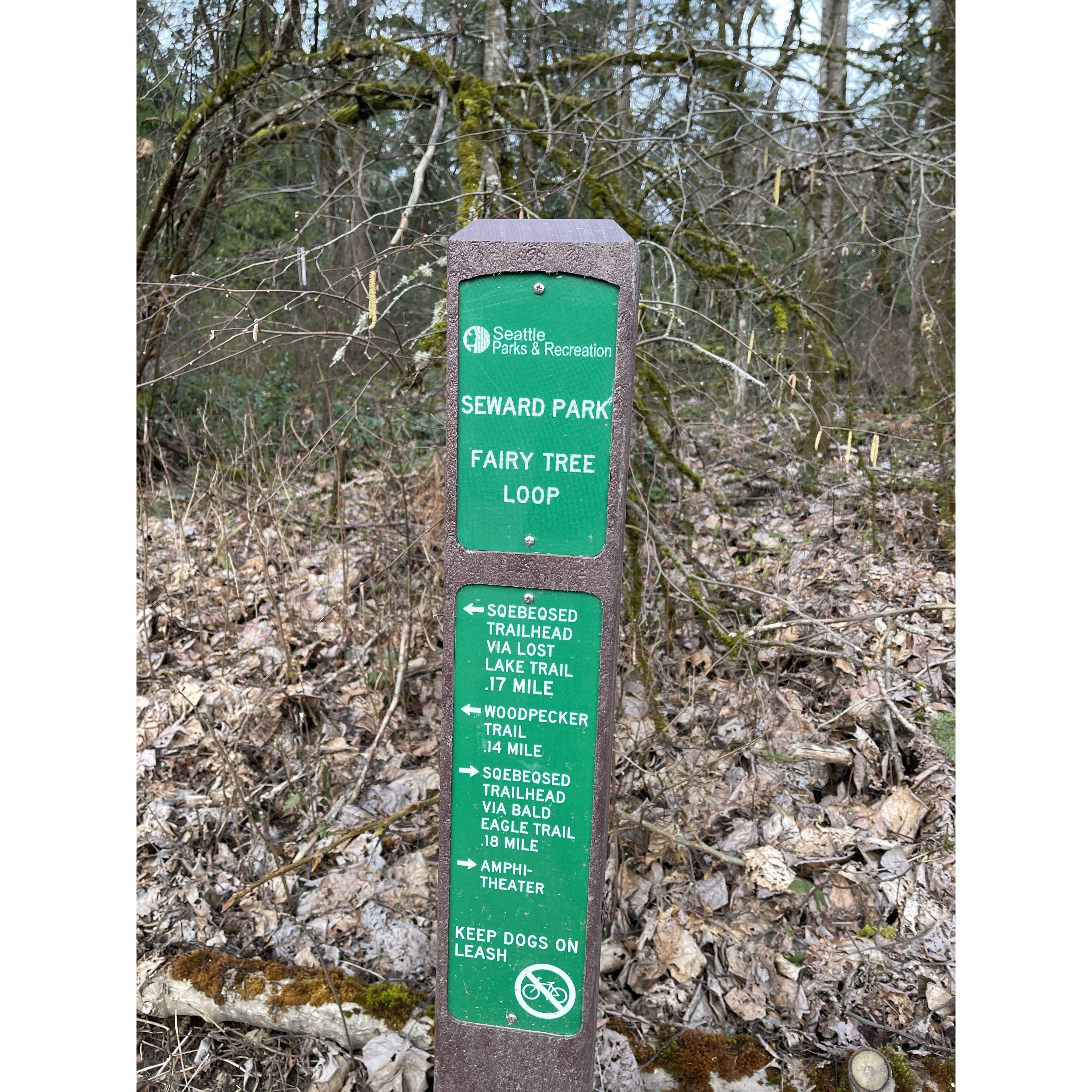 Proposal at Seward Park Fairy Tree Loop 3:30-4:30pm 3/11/23