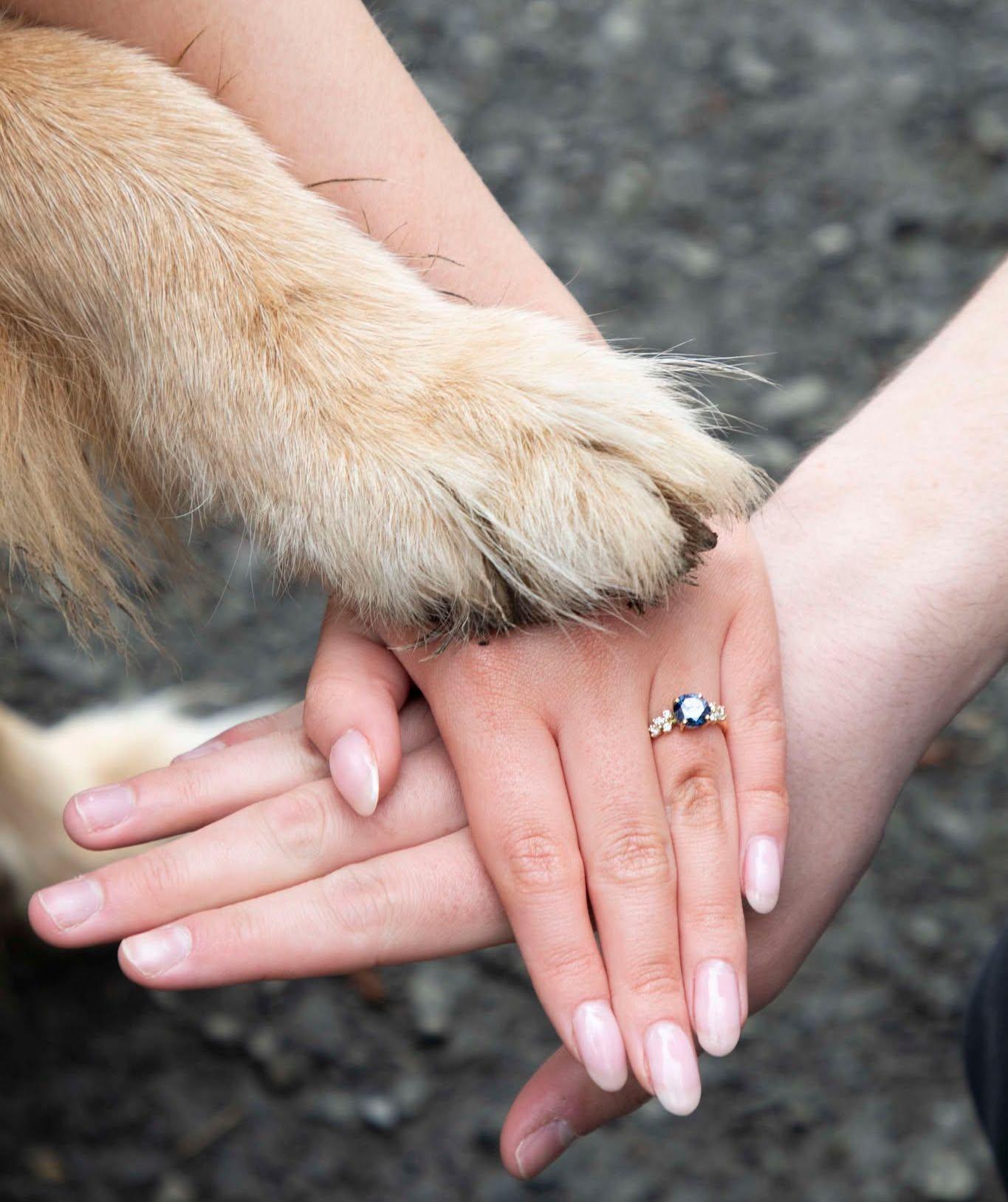The Wedding Website of Jake Ritson and Emma Macdonald