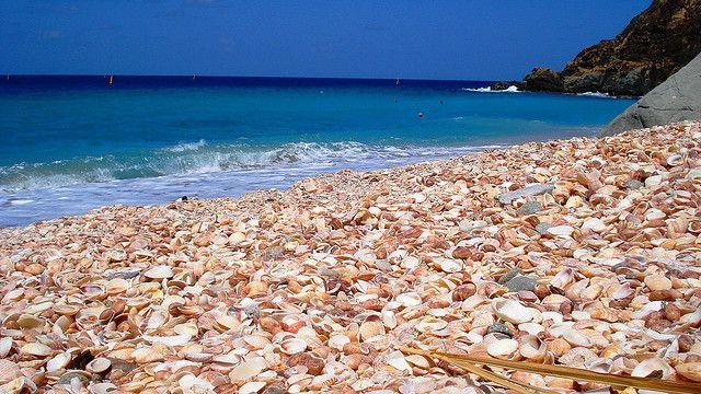 The Wedding Website of Kelli Acciardo and Luke Venner