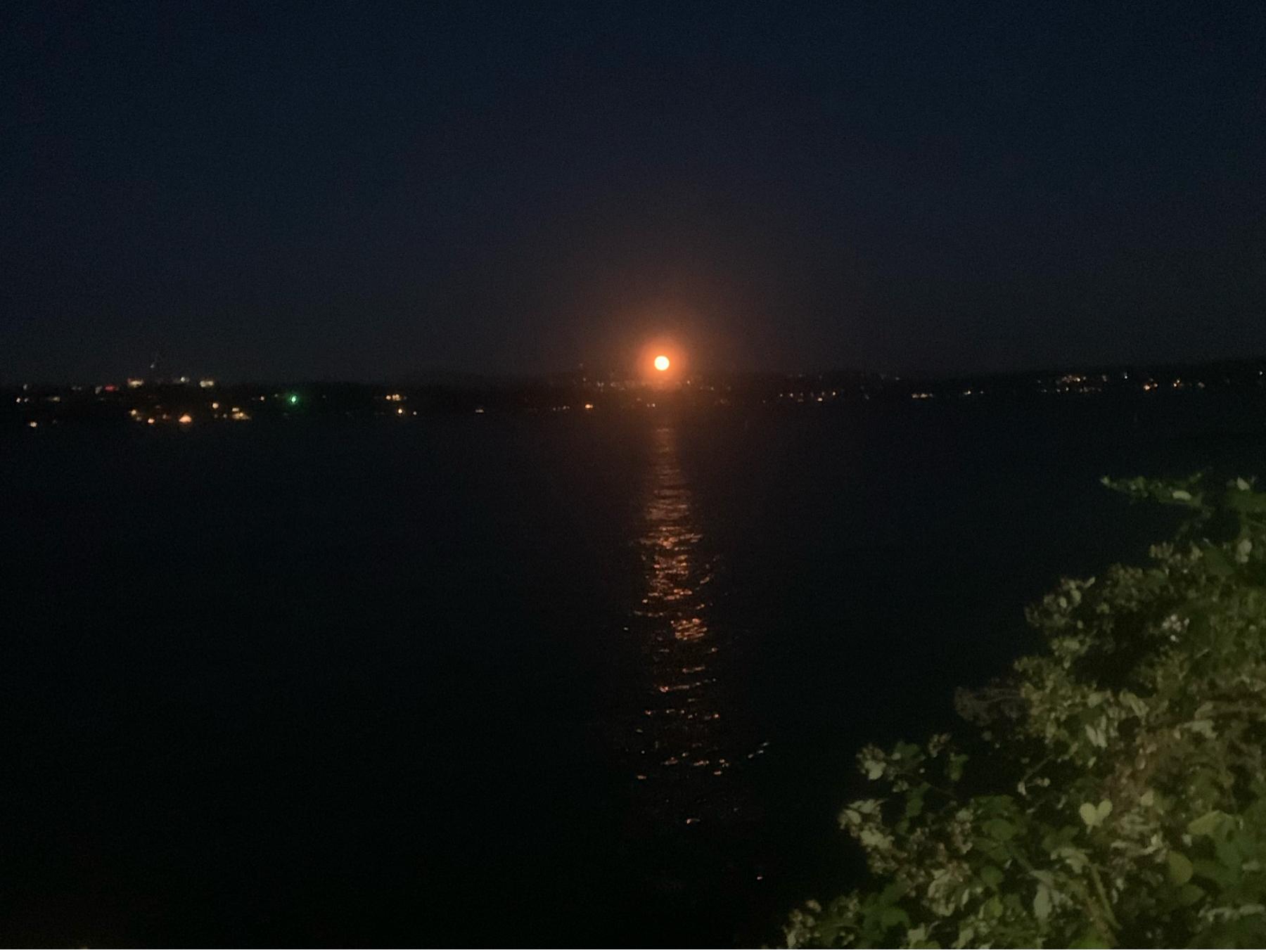 The Wedding Website of Yasmina Scally and Kavon Gates