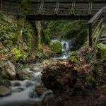 Uvas Canyon County Park