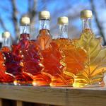 Maple Tasting on the Farm