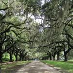 BOONE HALL PLANTATION & GARDENS