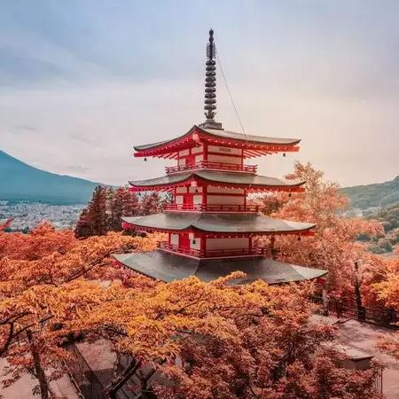 Honeymoon trip to Japan!