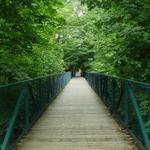Thunder Bridge