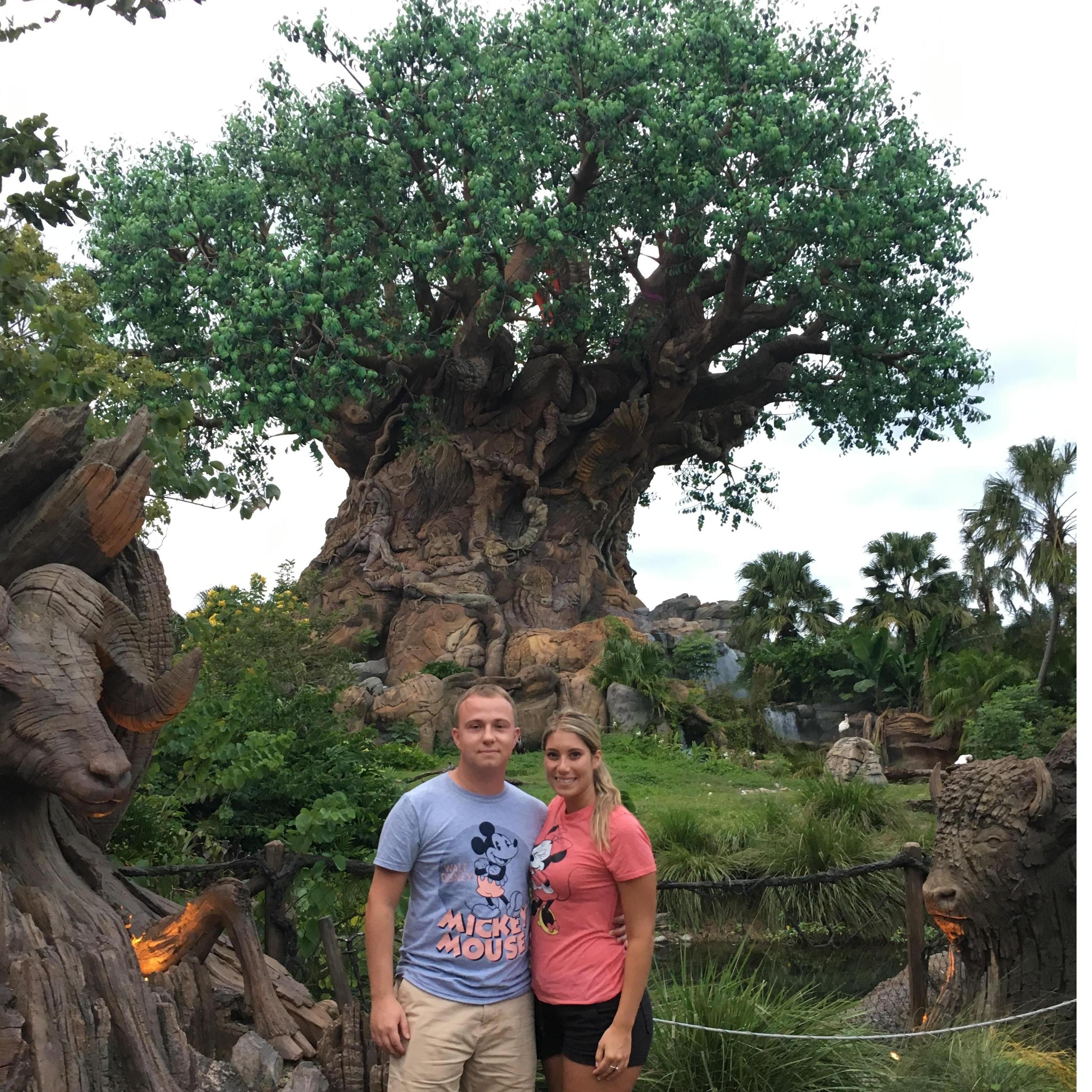 Animal Kingdom!-Nov 2017