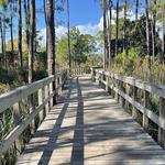 Watercolor and Seaside Trail Loops