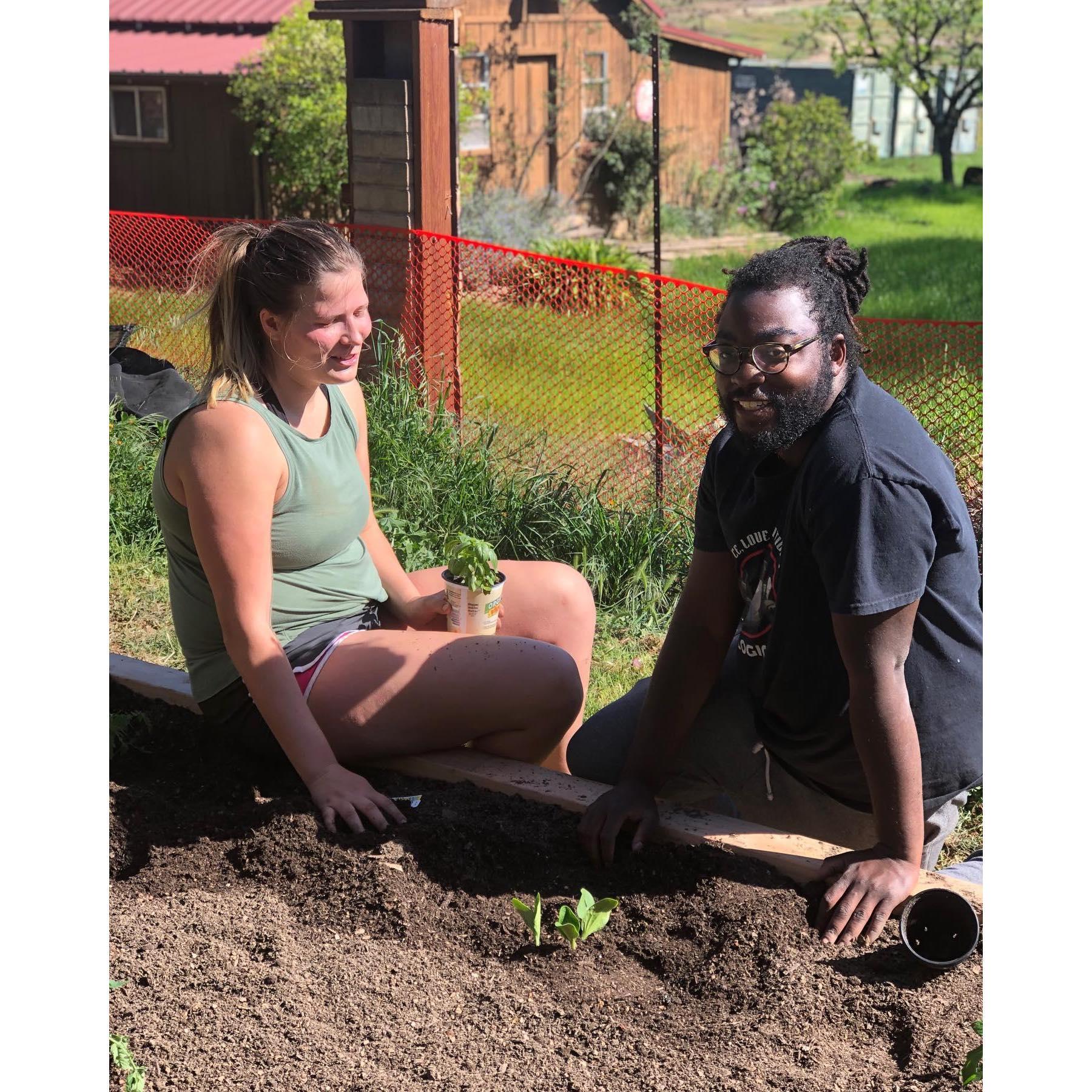 Our first garden 