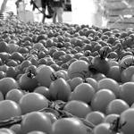 Charlottesville City Market