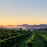 Virginia Mountain Vineyards