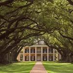 Oak Alley Plantation