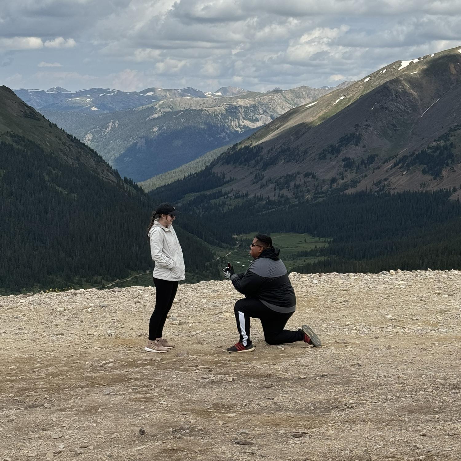 The proposal