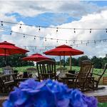 Cavender Creek Vineyards