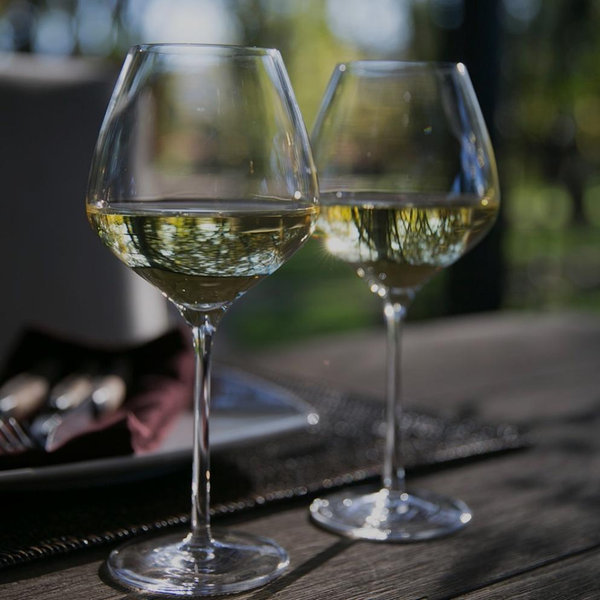 The One Wine Glass - By Master Sommelier Andrea Robinson, Premium Set Of 2