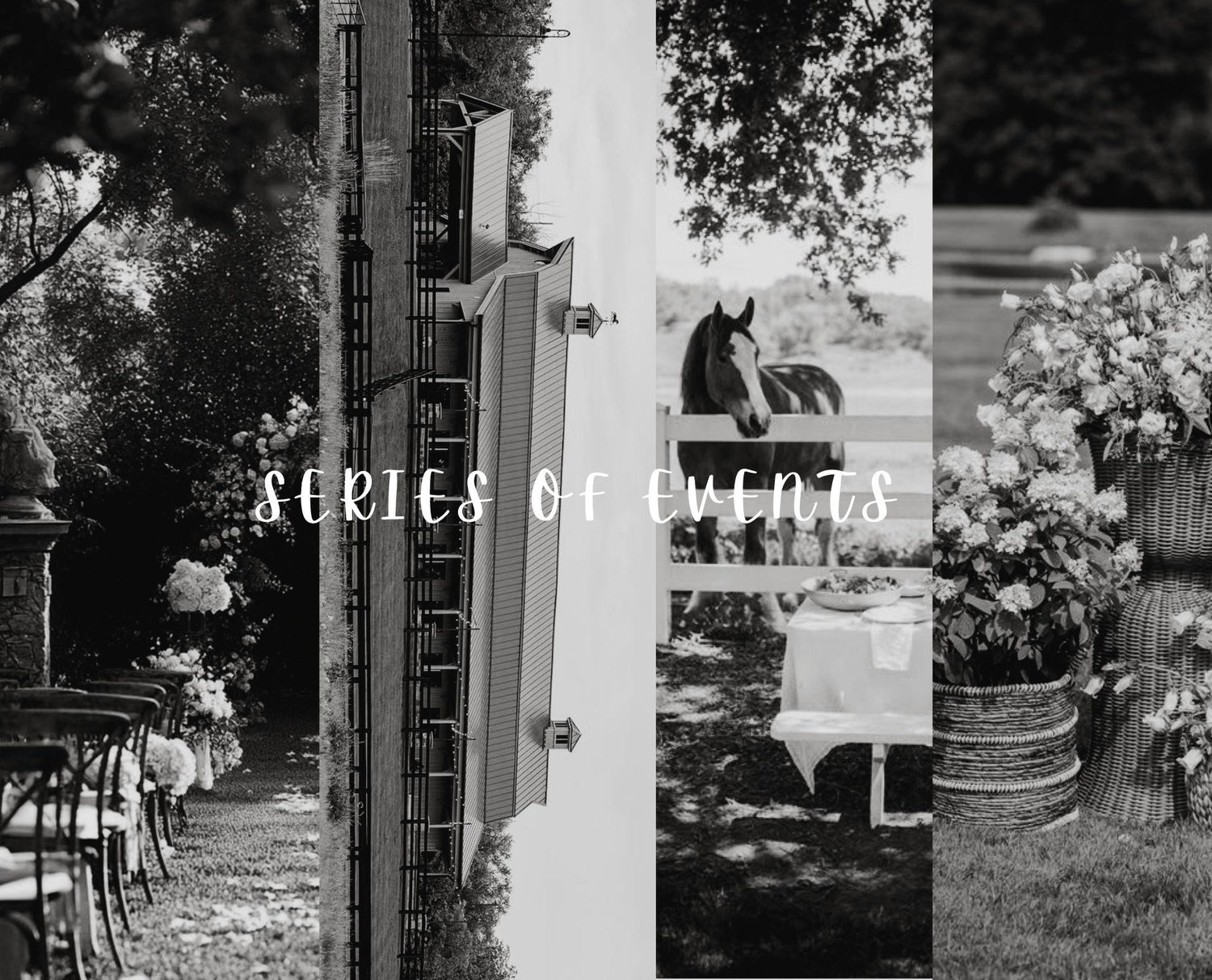 The Wedding Website of Emily Ford and Jacob Sowry