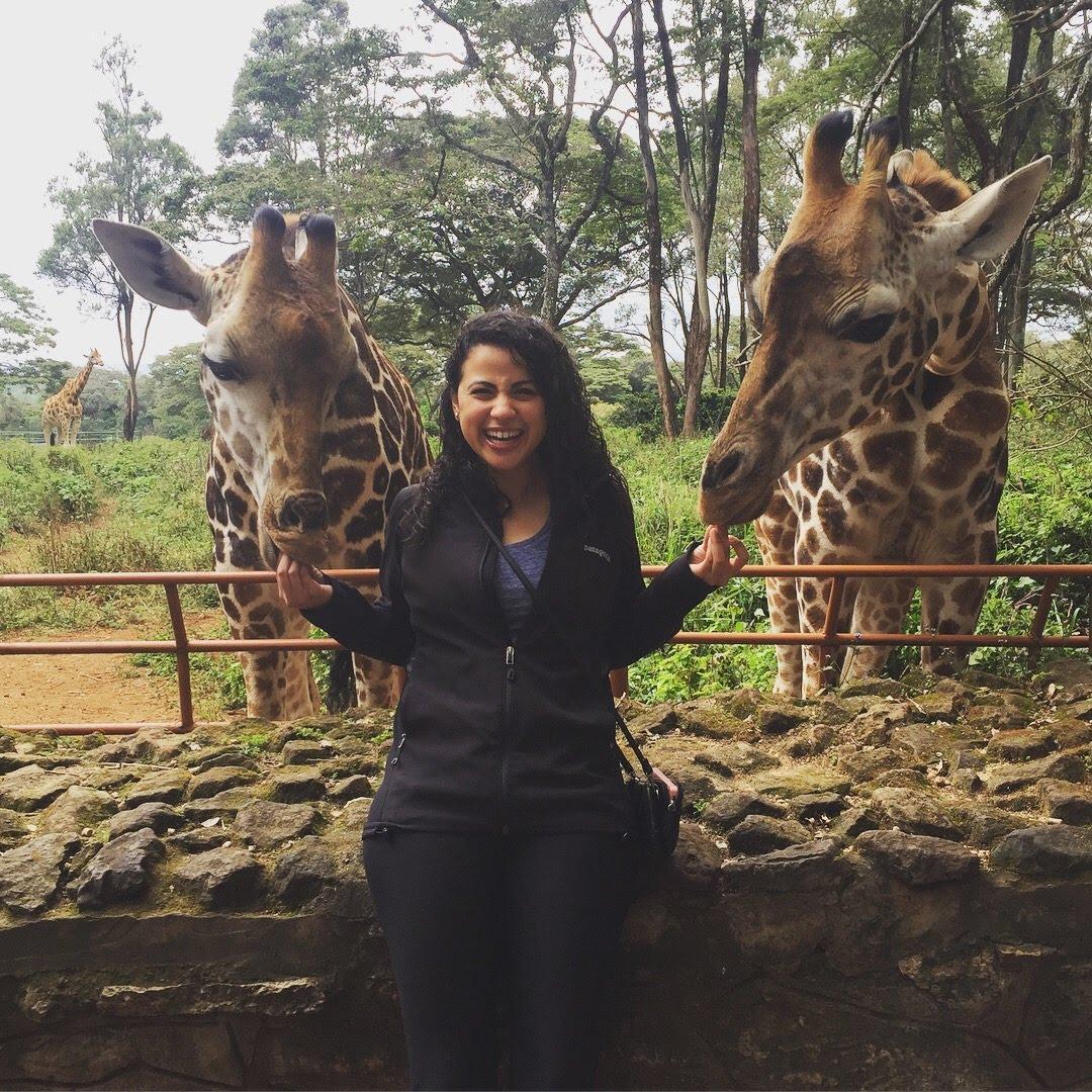 Giraffe Center in Nairobi, Kenya