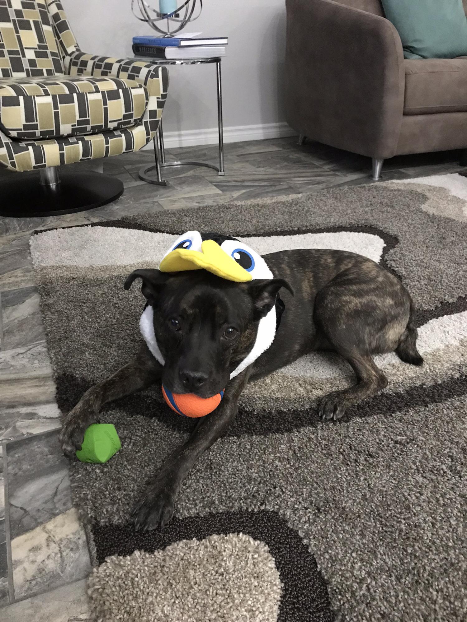 Joplin's first and only Halloween costume
