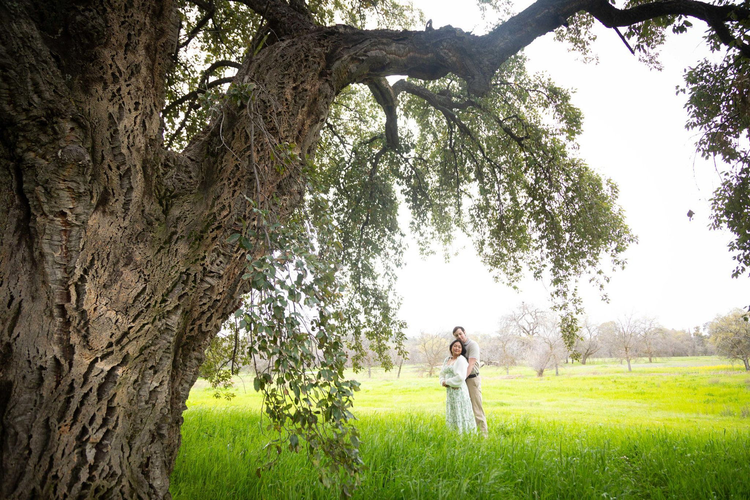 The Wedding Website of Elly Fok and Nathan Barycki
