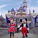Disneyland Park