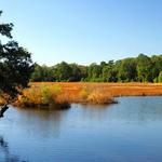 Caw Caw Interpretive Center