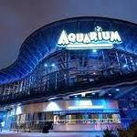 Downtown Aquarium