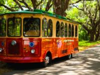 St Simons Trolly Tour