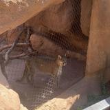 Phoenix Zoo