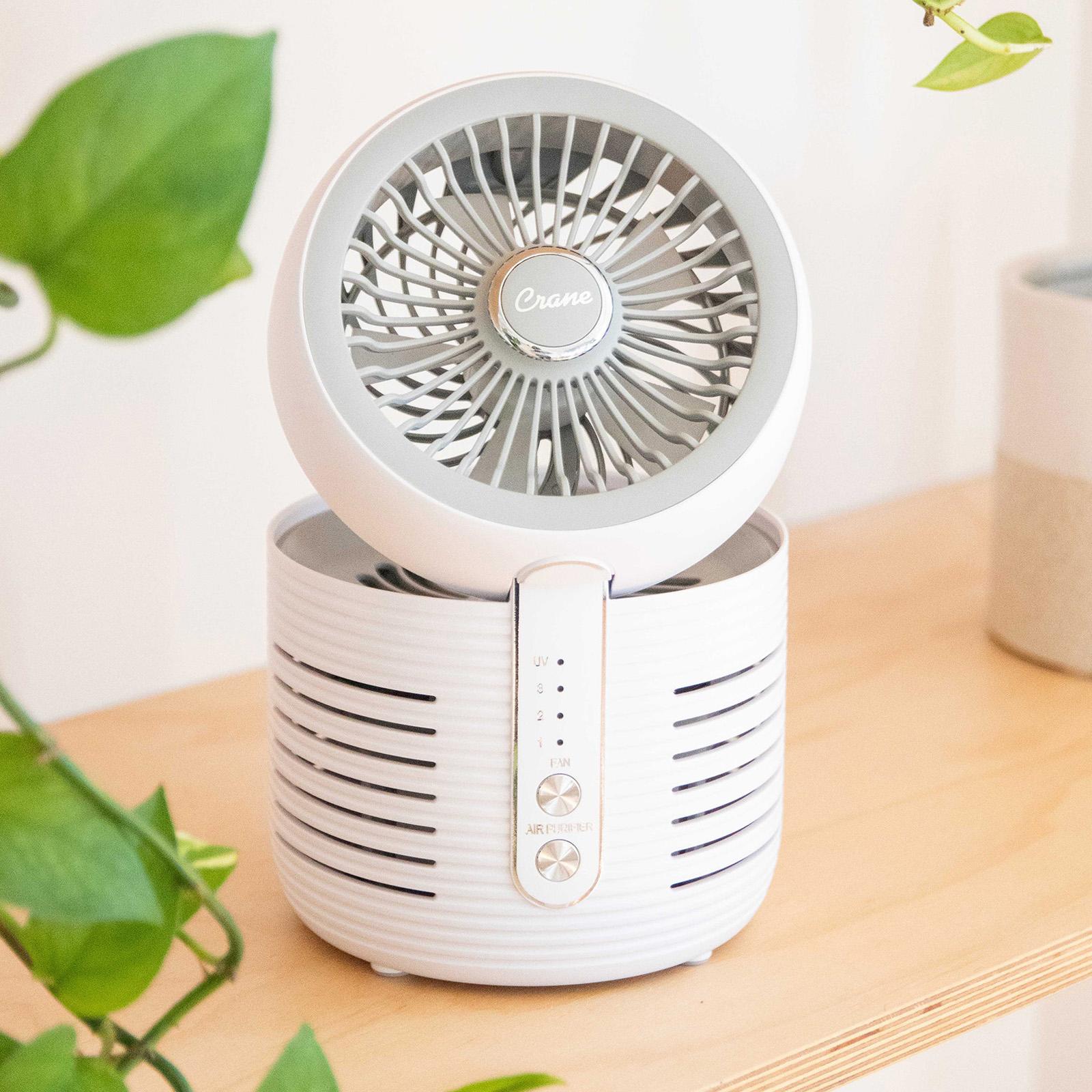 Crane USA, 2-In-1 Desk Top Air Purifier and Fan | Zola