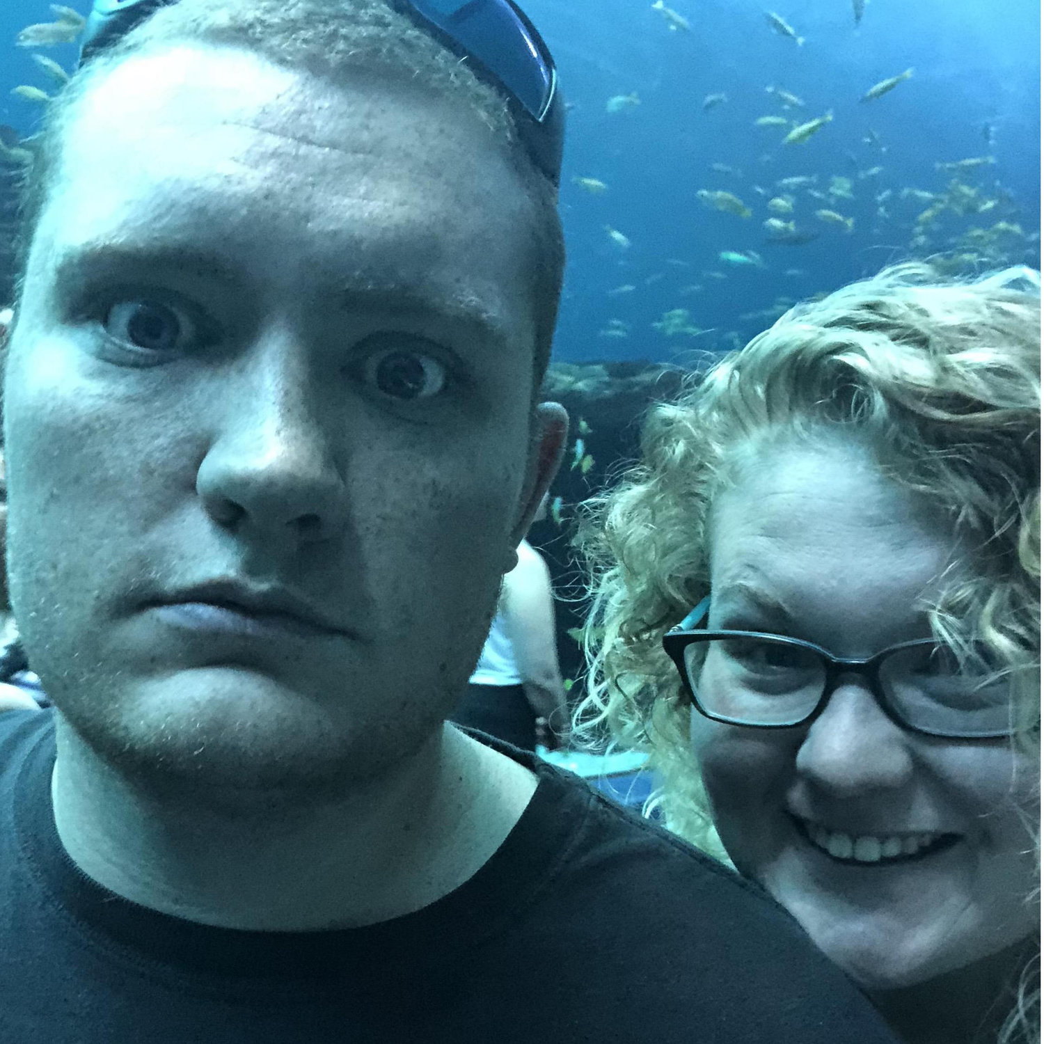 Jared's favorite picture from our trip to the Georgia Aquarium!