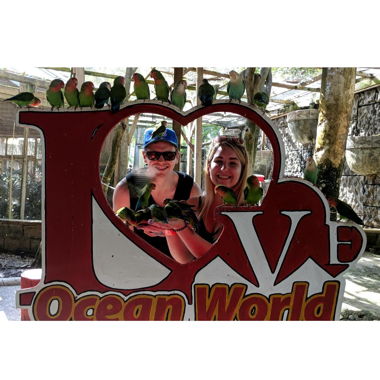 First trip to the Dominican Republic 2018