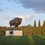 Pioneers Park