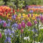 Longwood Gardens