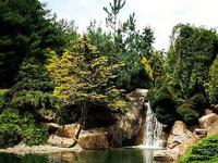 Schnormeier Gardens
