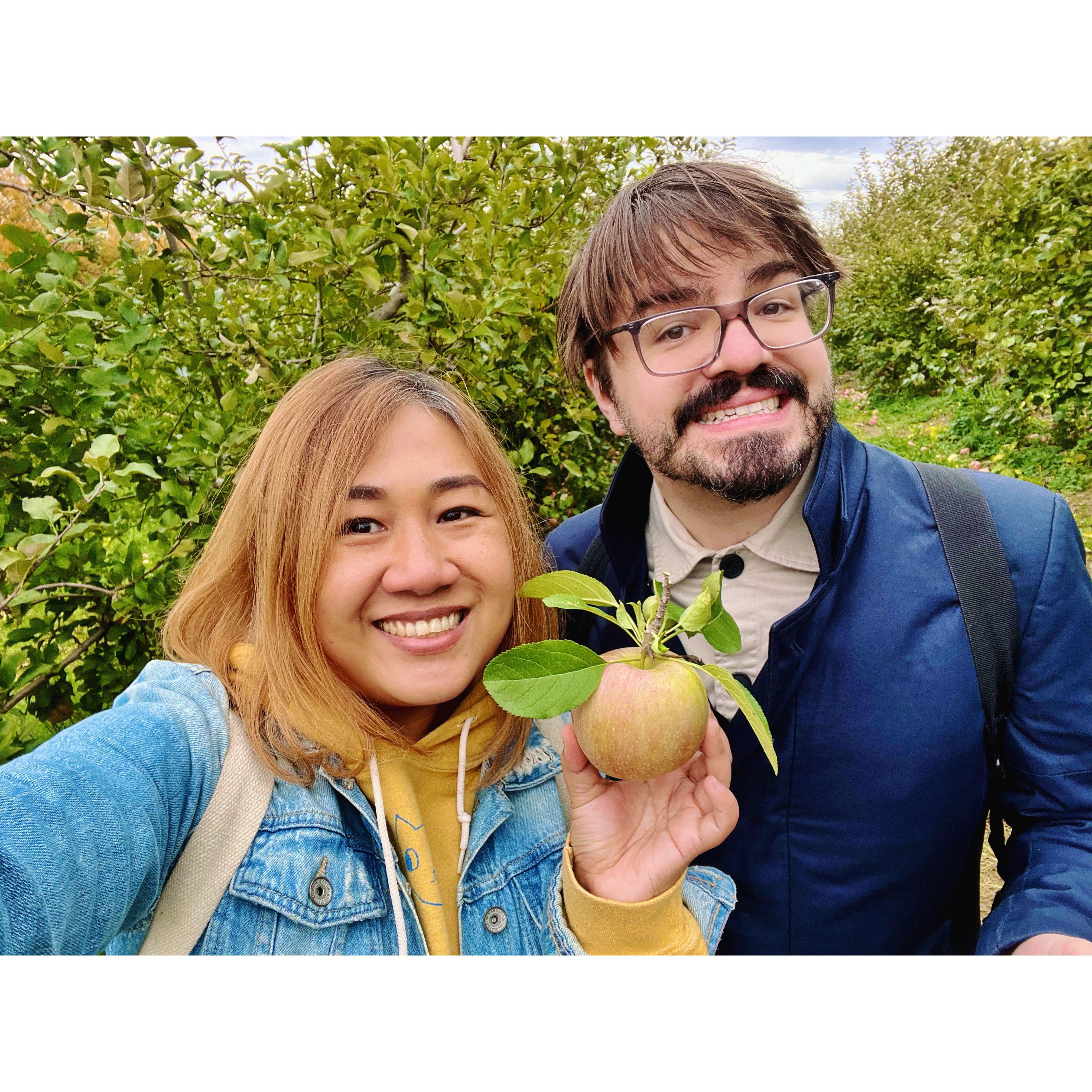 Kae's first ever apple picking!