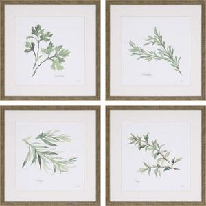 'Herbs' 4 Piece Framed Graphic Art Print Set