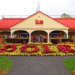 Dole Plantation