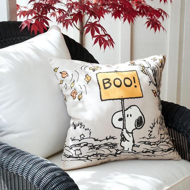 Peanuts™ Trick-Or-Treat Charlie Brown Indoor/Outdoor Pillow, 20 x 20", Multi